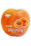 Apricot Divinity Dwarf - Bare Rooted