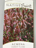 Acmena smithii 'Forest Flame'