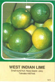 Lime West Indian 200mm