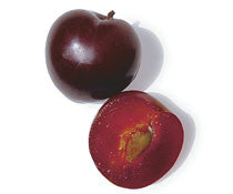 Plum Mariposa - Bare Rooted