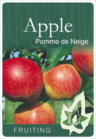 Apple Pomme De Neige Semi Dwarf - Bare Rooted