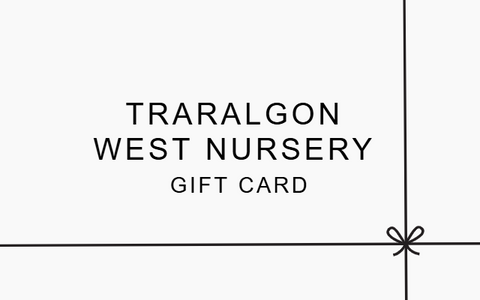 E Gift Card