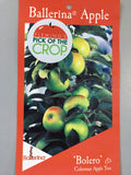 Apple Ballerina Bolero Columnar Tree - Bare Rooted