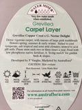 Grevillea 'Carpet Layer'