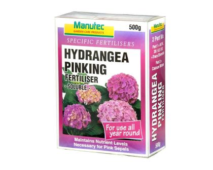 Hydrangea Pinking