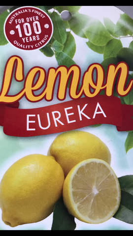 Lemon Eureka 200mm