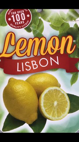 Lemon Lisbon 200mm