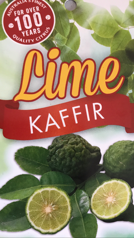 Lime Kaffir 200mm