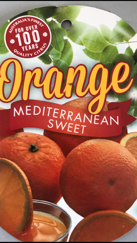 Orange Mediterranean Sweet 250mm