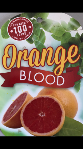 Orange Blood 250mm