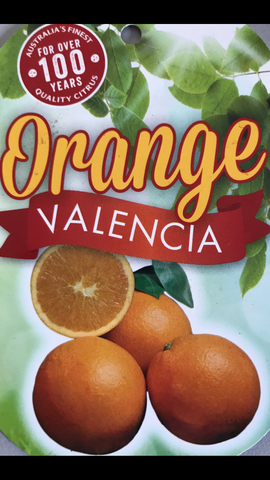 Orange Valencia 200mm