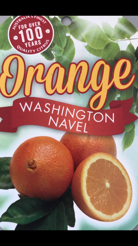 Orange Washington Navel 250mm