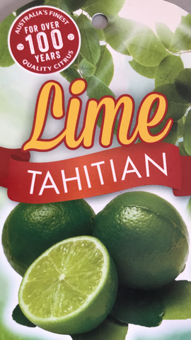 Lime Tahitian 200mm