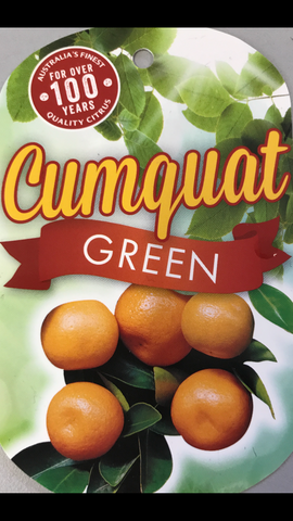 Cumquat Green 200mm