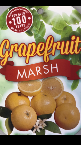 Grapefruit Marsh 200mm