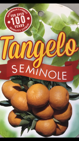Tangelo Seminole 200mm
