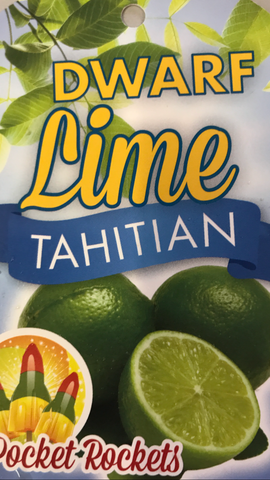 Lime Tahitian 200mm Dwarf