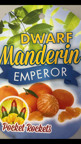 Mandarin Emperor 200mm Dwarf