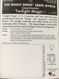 Lagerstroemia 'Twilight Magic'