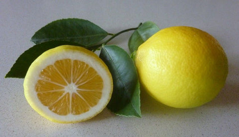 Lemon 'Heaven' Seedless Eureka 200mm
