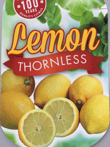 Lemon Thornless 200mm