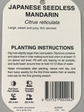 Mandarin Japanese Seedless 200mm Dwarf