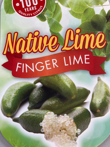 Native Lime - Finger 200mm