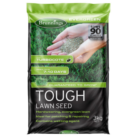 Tough Lawn Seed