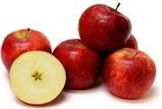 Apple Jonathon - Bare Rooted