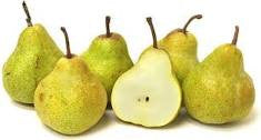 Pear Packham's Triumph - Bare Rooted