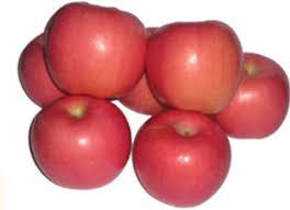 Apple Red Fuji - Bare Rooted