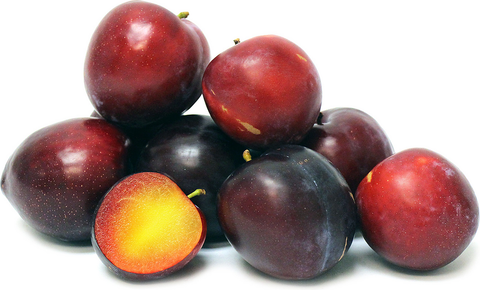 Plum Santa Rosa - Bare Rooted